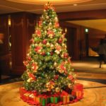 Christmas trees