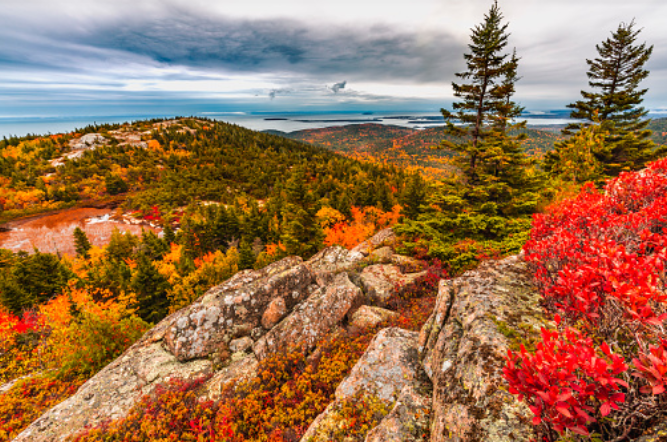 national park